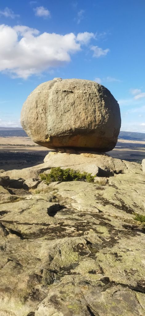 img_20241010_170406837115530079548668