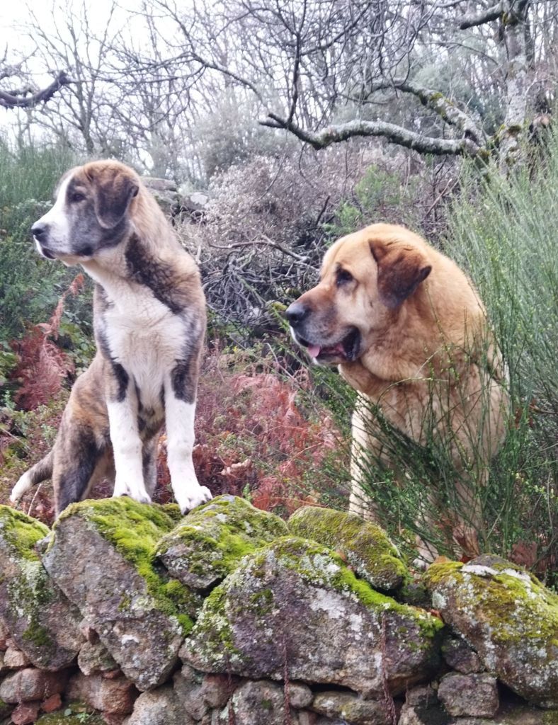 img_20250311_1737576012571635561529217